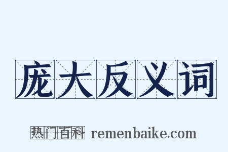 庞大反义词是什么意思的图片